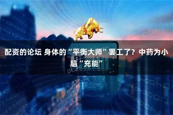 配资的论坛 身体的“平衡大师”罢工了？中药为小脑“充能”