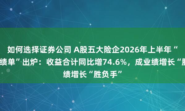 如何选择证券公司 A股五大险企2026年上半年“投资成绩单”出炉：收益合计同比增74.6%，成业绩增长“胜负手”